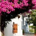 Skopelos Routes