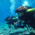 Skopelos Dive Center