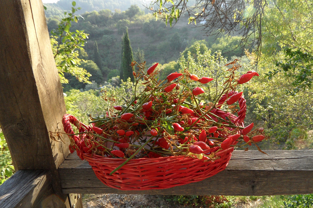 Skopelos Cuisine